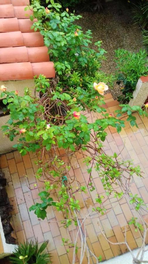 Maison Charmante A Sainte-Marie Avec Grand Jardin Ngoại thất bức ảnh
